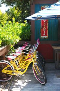 Castaway Cay - Disney Cruise - www.pencilshavingsstudio.com