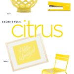 Color Crush: Citrus