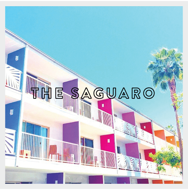 the-saguaro