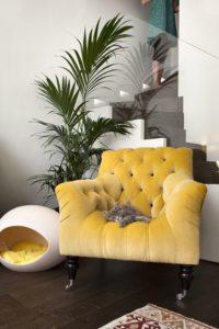 yellow upholstery roundup - @psstudio www.pencilshavingsstudio.com