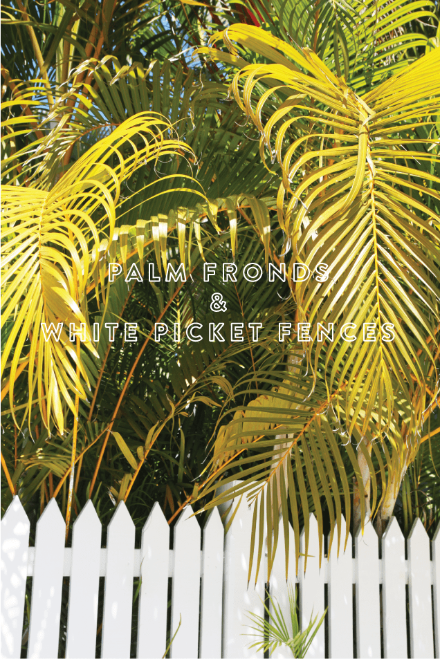 Palm fronds and white picket fences - www.pencilshavingsstudio.com