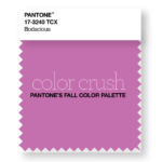 Color Crush: Pantone’s Bodacious