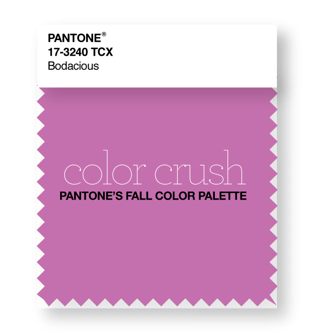 Pantone's color palette for fall 2016 includes ten beautiful hues and I'm rounding up some favorite ways to get the look each week at the blog. First up is Bodacious, a gorgeous bright orchid. Click through to get the look in your own home - www.pencilshavingsstudio.com