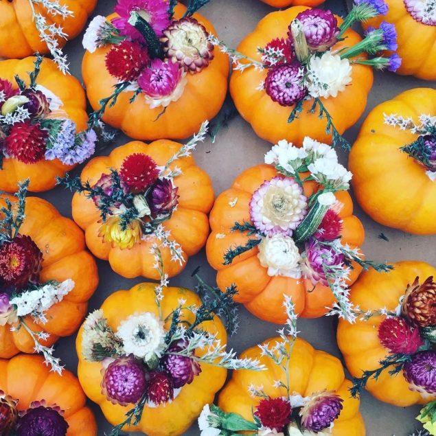 Creative ways to decorate with pumpkins. These baby pumpkins were all dressed up in their fanciest duds as miniature flower vases at the Union Square Greenmarket in New York City - www.pencilshavingsstudio.com