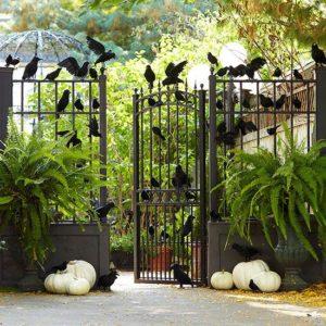 Decorate for Halloween with birds on a gate and contrast with white pumpkins www.pencilshavingsstudio.com