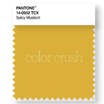 Color Crush: Spicy Mustard