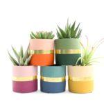 Roundup! The cutest planters for every style of decor